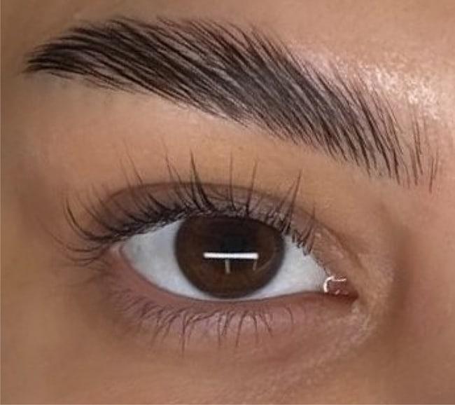 Ochi căprui cu gene laminate și sprânceană stilizată